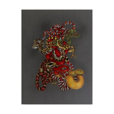 Barbara Keith 'Slither' Canvas Art,18x24